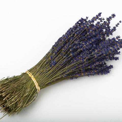 Dried Lavender Bunch