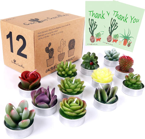 Wedding Favour Succulent Kit